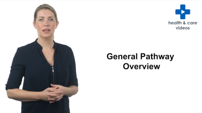 1. General Pathway Overview Thumbnail