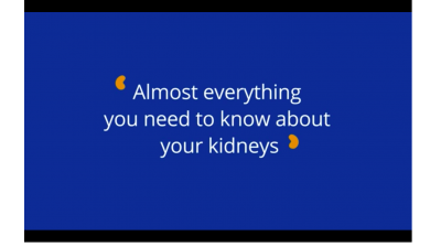 Almost Everything You Need to Know About Your Kidneys Thumbnail