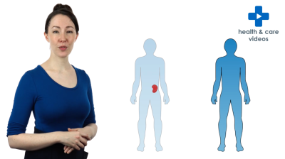 What is a kidney transplant and who can have one? Thumbnail