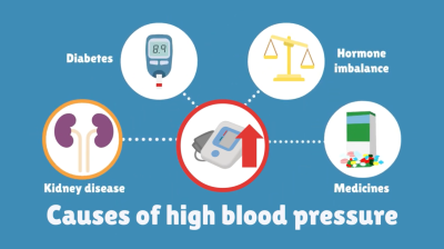 High blood pressure and the kidneys | UHL NHS Trust Thumbnail