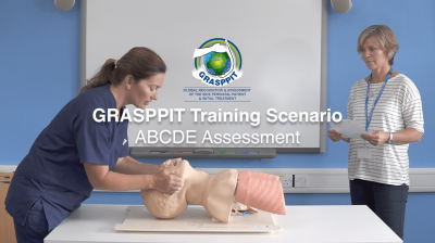 GRASPPIT training scenario - The ABCDE Protocol Thumbnail